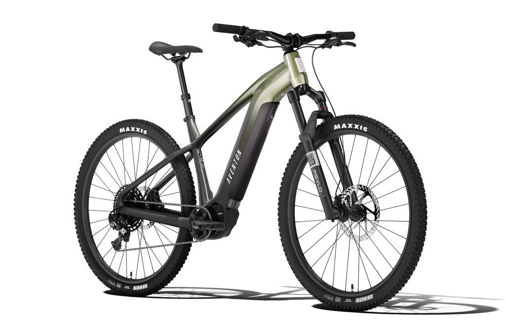 Ramblas ADV Ebike