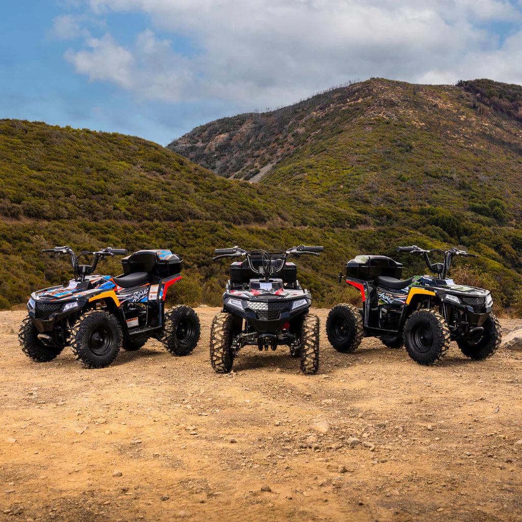 Droyd Animal 36V/8Ah 500W Electric ATV