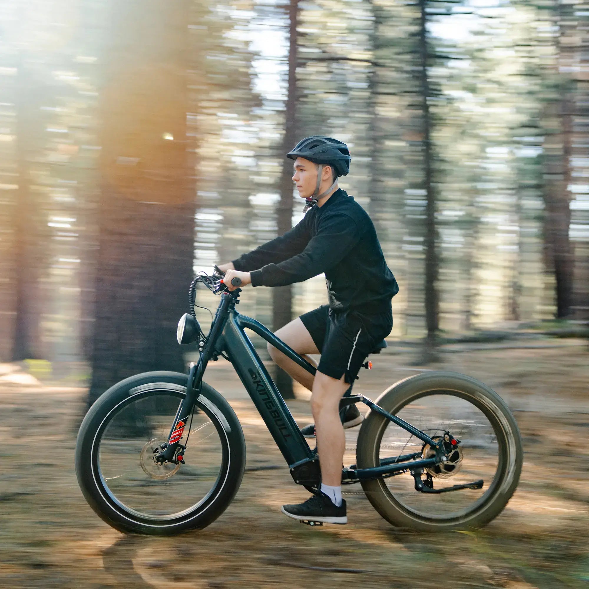 Kingbull Rover 2.0 | All-Terrain Off-Road Electric Bike