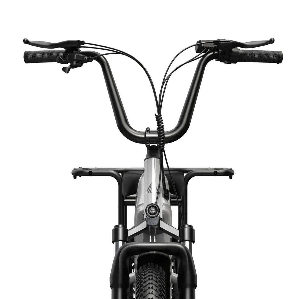 TST® Carrier 20'' Cargo Electric Bike
