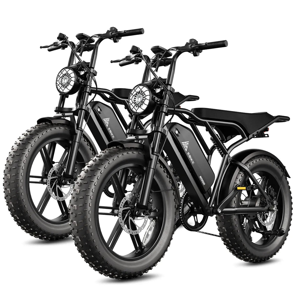 TST® Combo Sale R002 20" Full Suspension Moped-Style Ebike