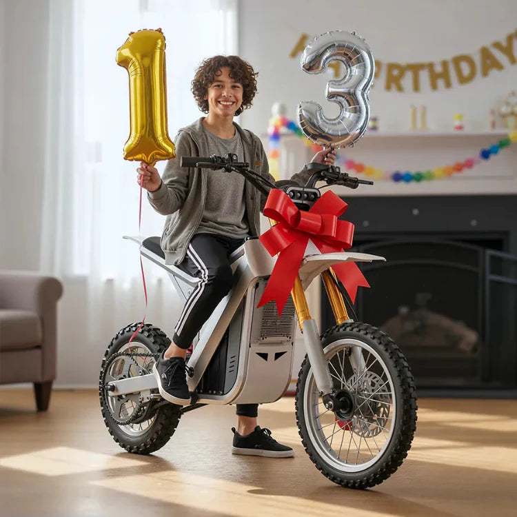 TST® GT63 14" 2200W 210Nm Electric Dirt Bike