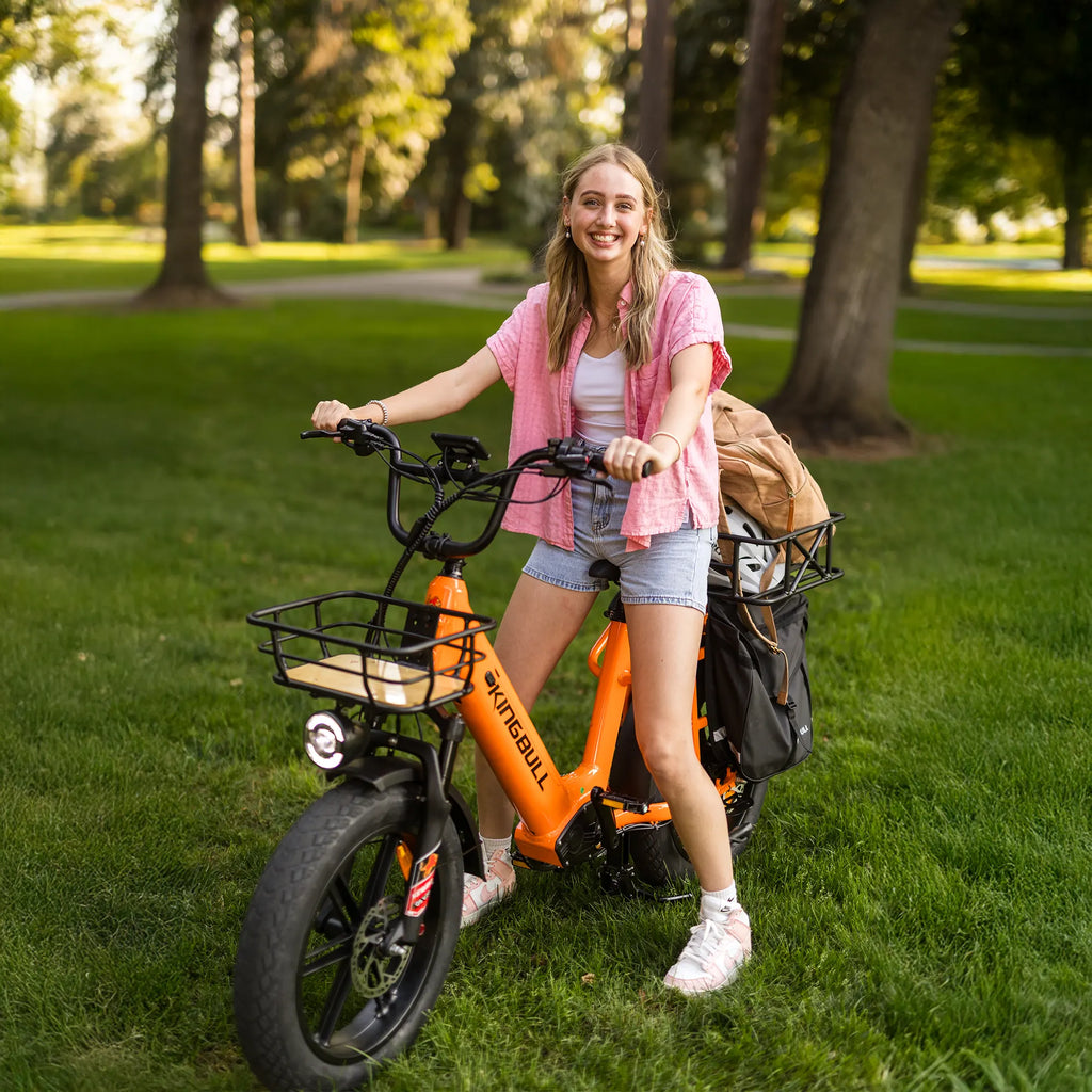 Kingbull Voyager 2.0 | Fat Tire Electric Cargo Bike