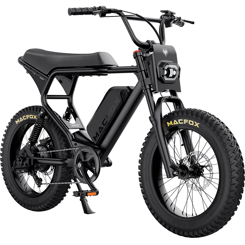 Sparkwheels X2 Electric Mountain Bike
