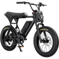 Sparkwheels X2 Electric Mountain Bike