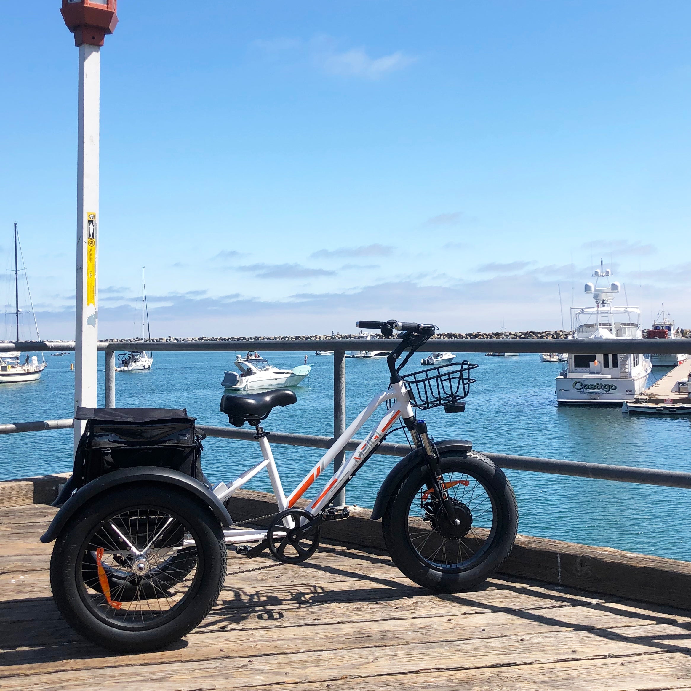 DWMEIGI Zeus MG1703 48V/18.2Ah 750W Electric Trike