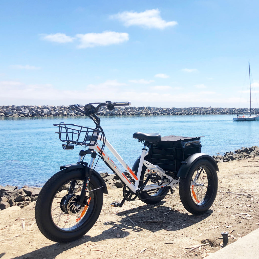 DWMEIGI Zeus MG1703 48V/18.2Ah 750W Electric Trike