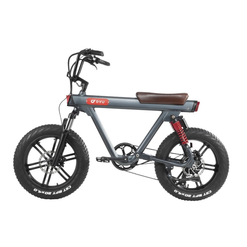 DYU V8 48V/15.5Ah 750W Electric Bike