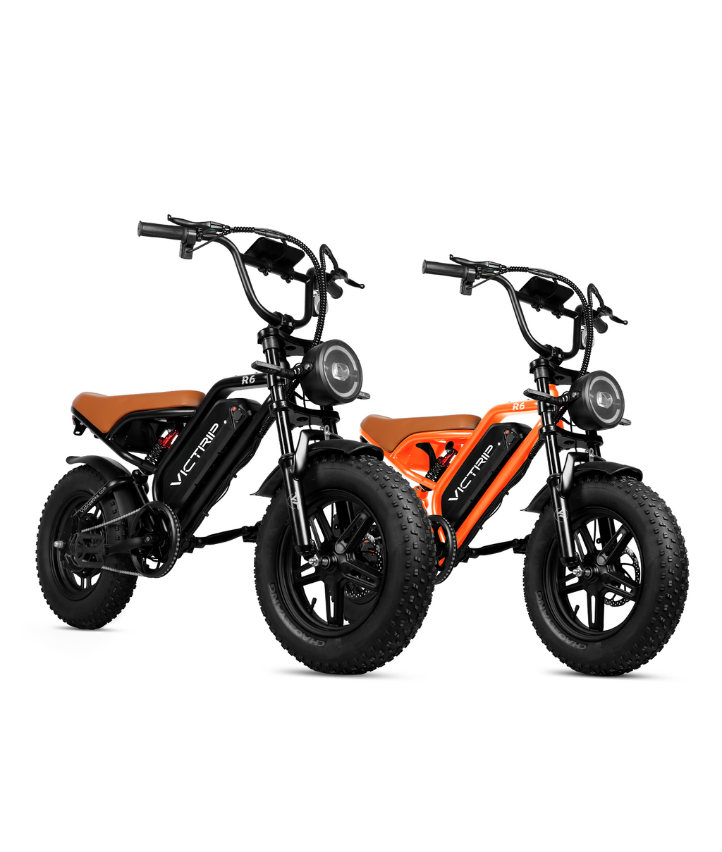 VICTRIP ® R6 Combo Pack (2 Bikes)