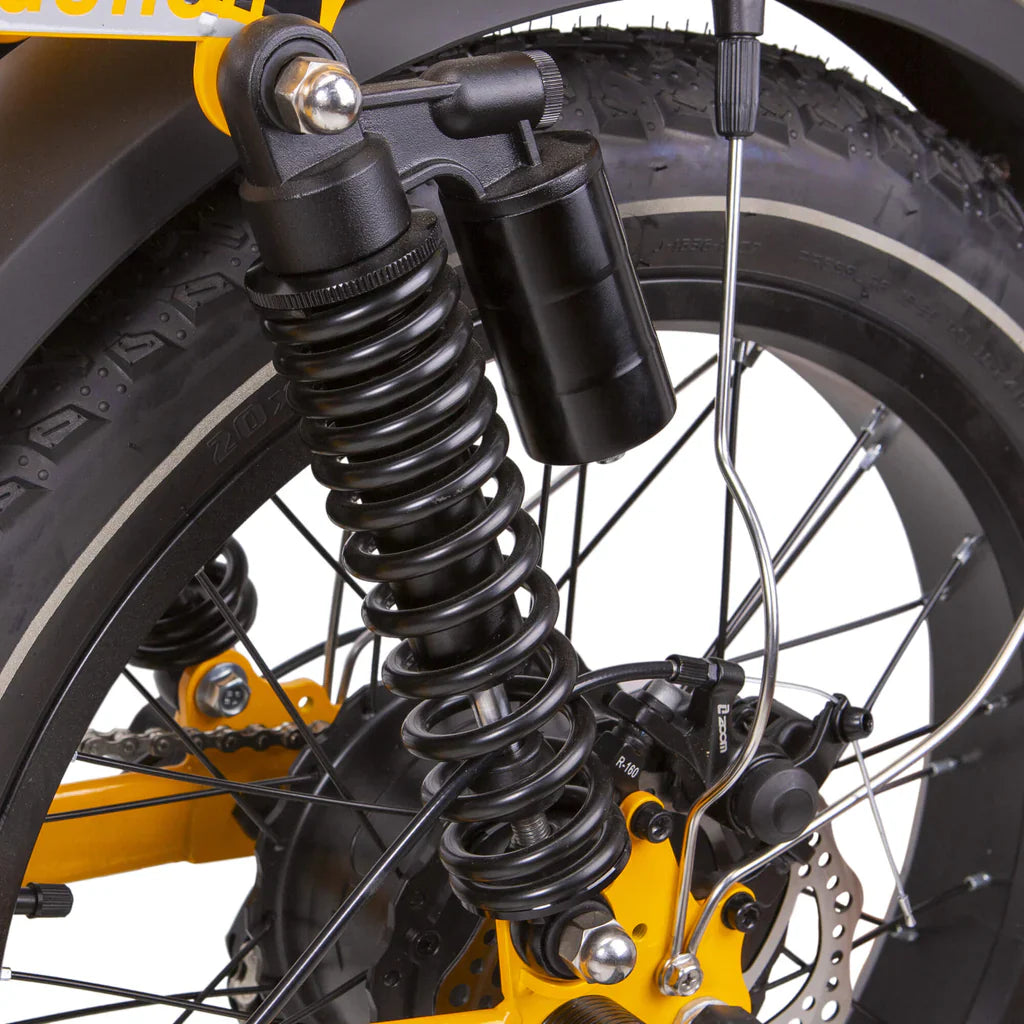 NAKTO F4 48V/20Ah 750W Electric Bike