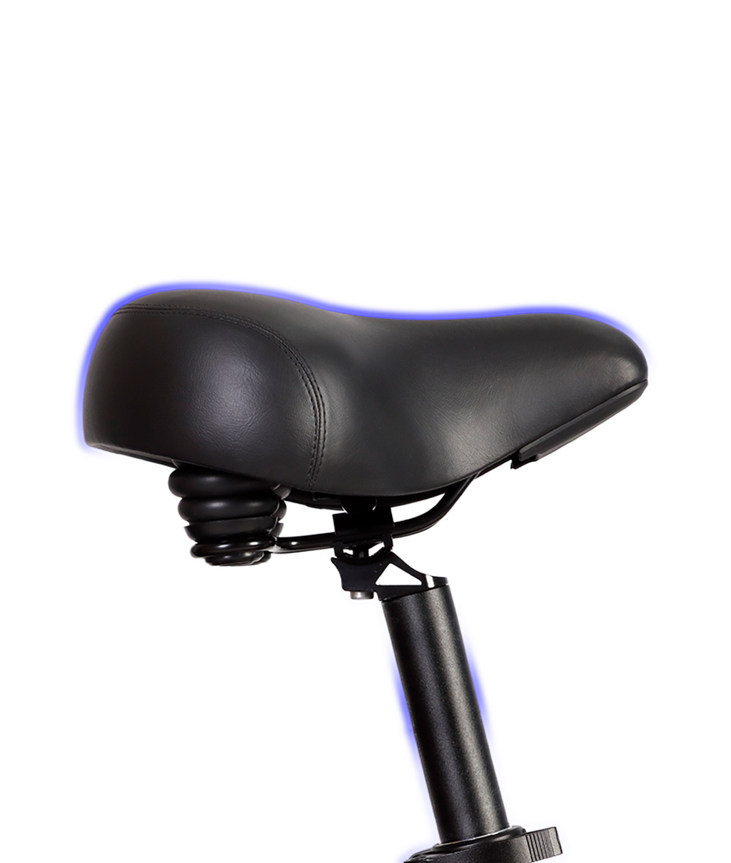VICTRIP® Mimas Torque Sensor Step Thru Ebike