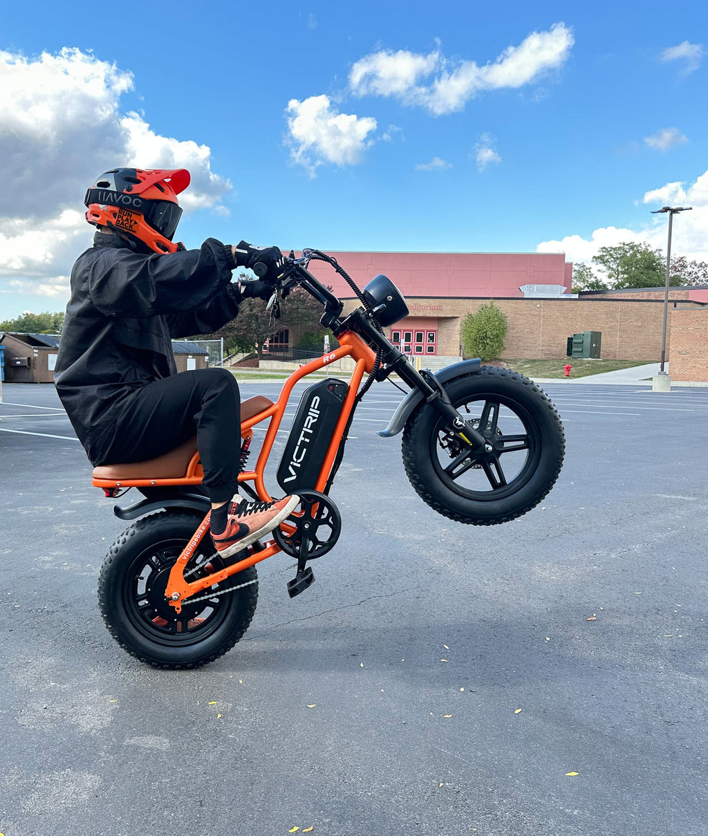 VICTRIP®R6 Off Road Ebike