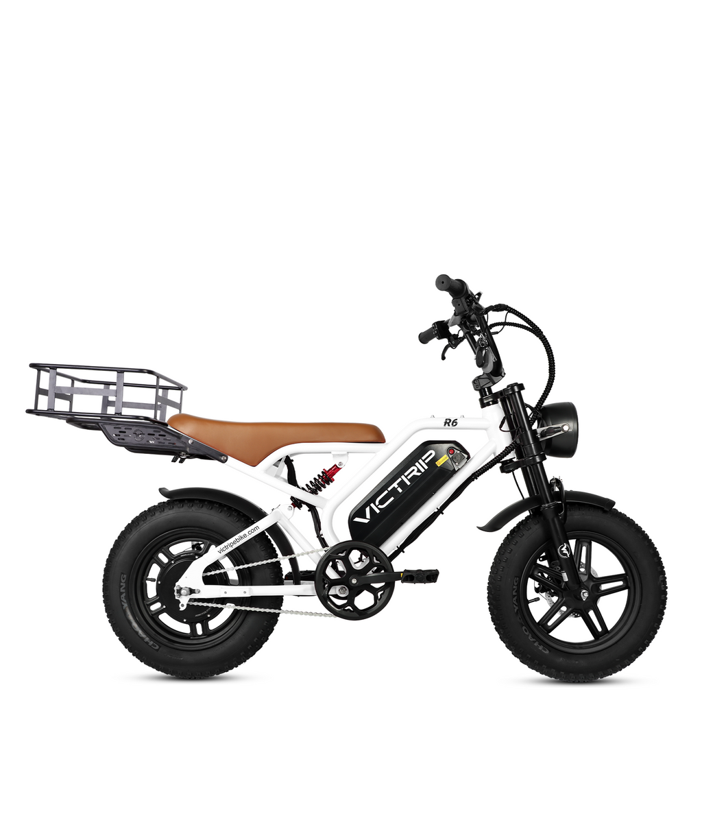 VICTRIP®R6 Off Road Ebike
