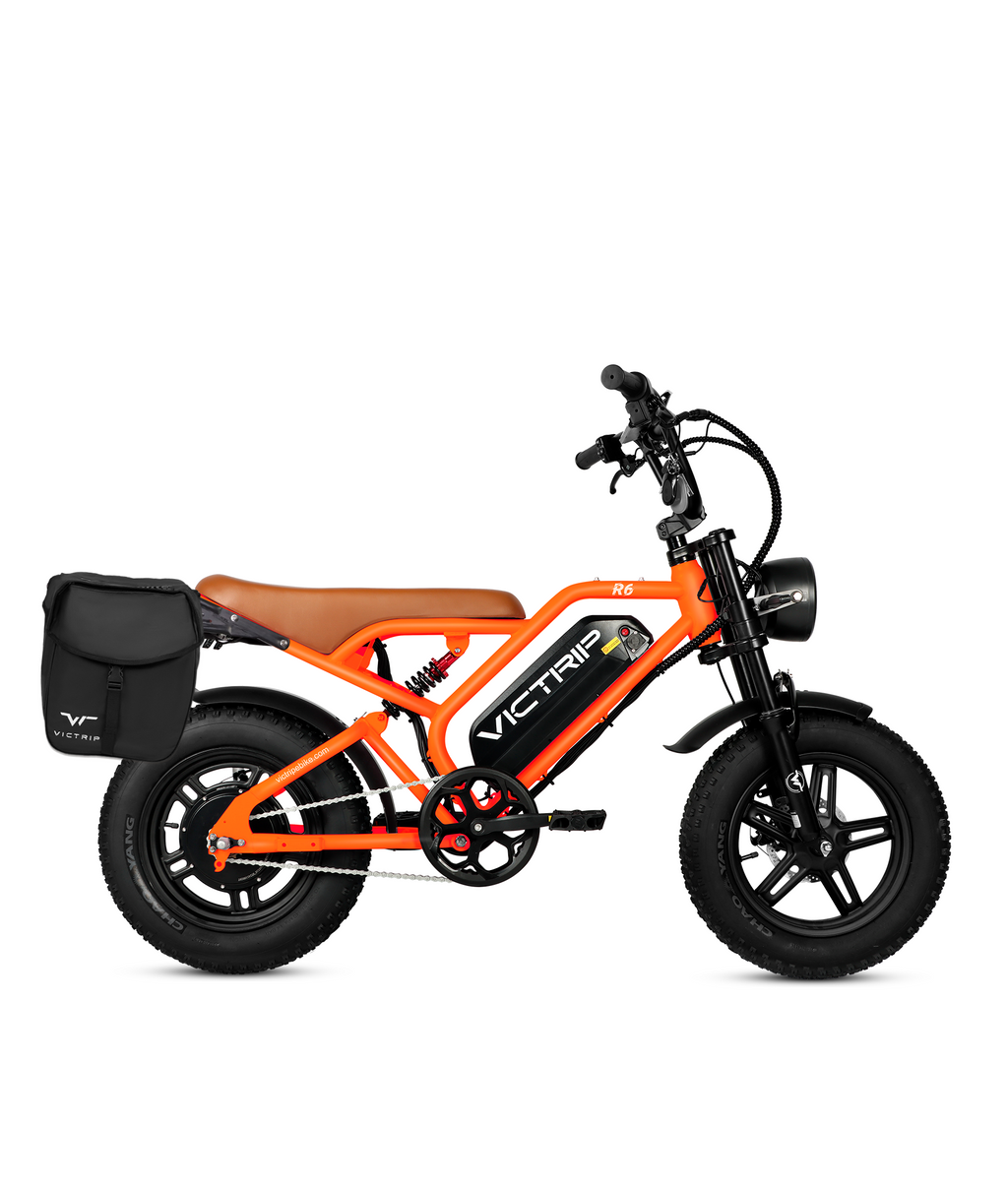 VICTRIP®R6 Off Road Ebike