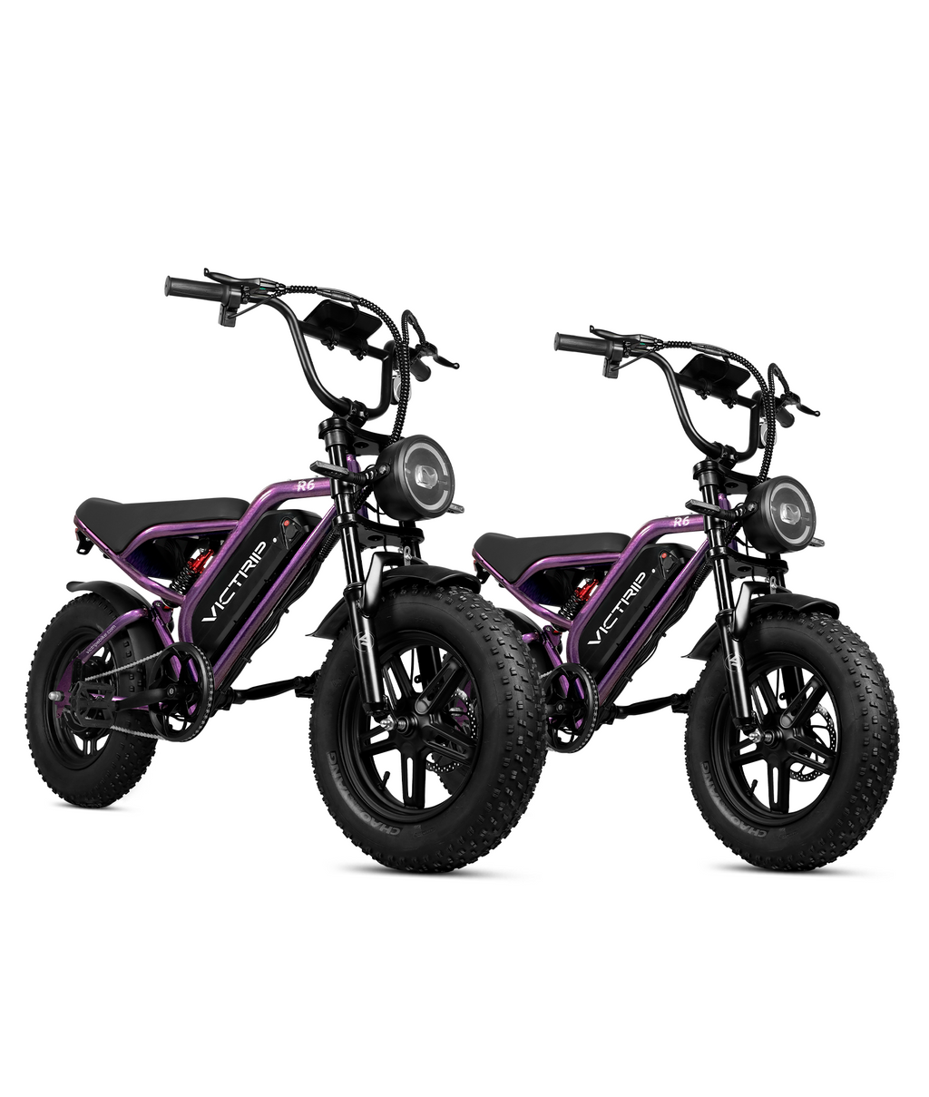 VICTRIP ® R6 Combo Pack (2 Bikes)