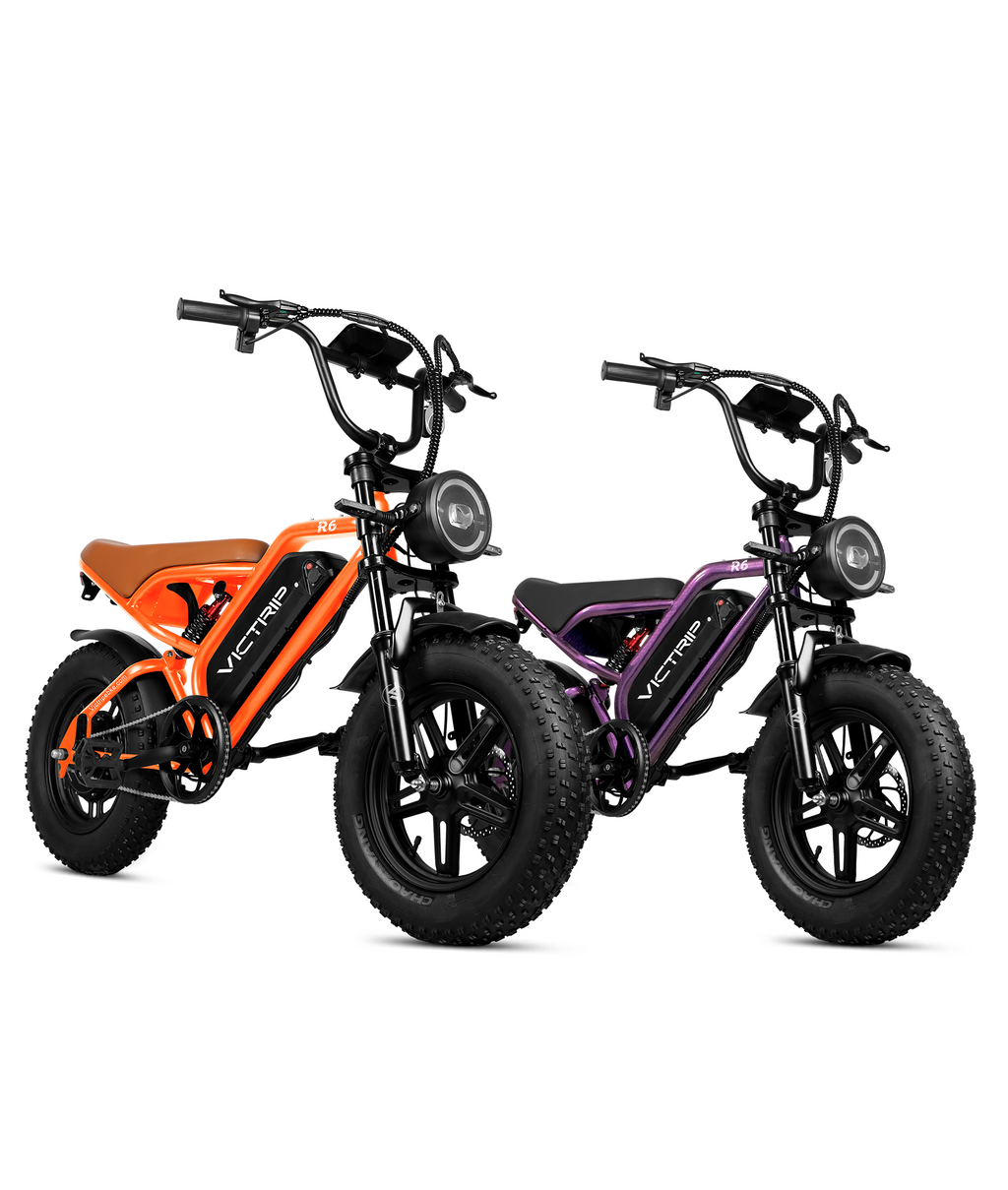 VICTRIP ® R6 Combo Pack (2 Bikes)
