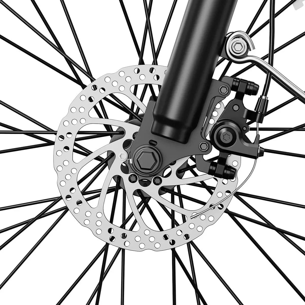 Aipas® C2 Xpress Ebike