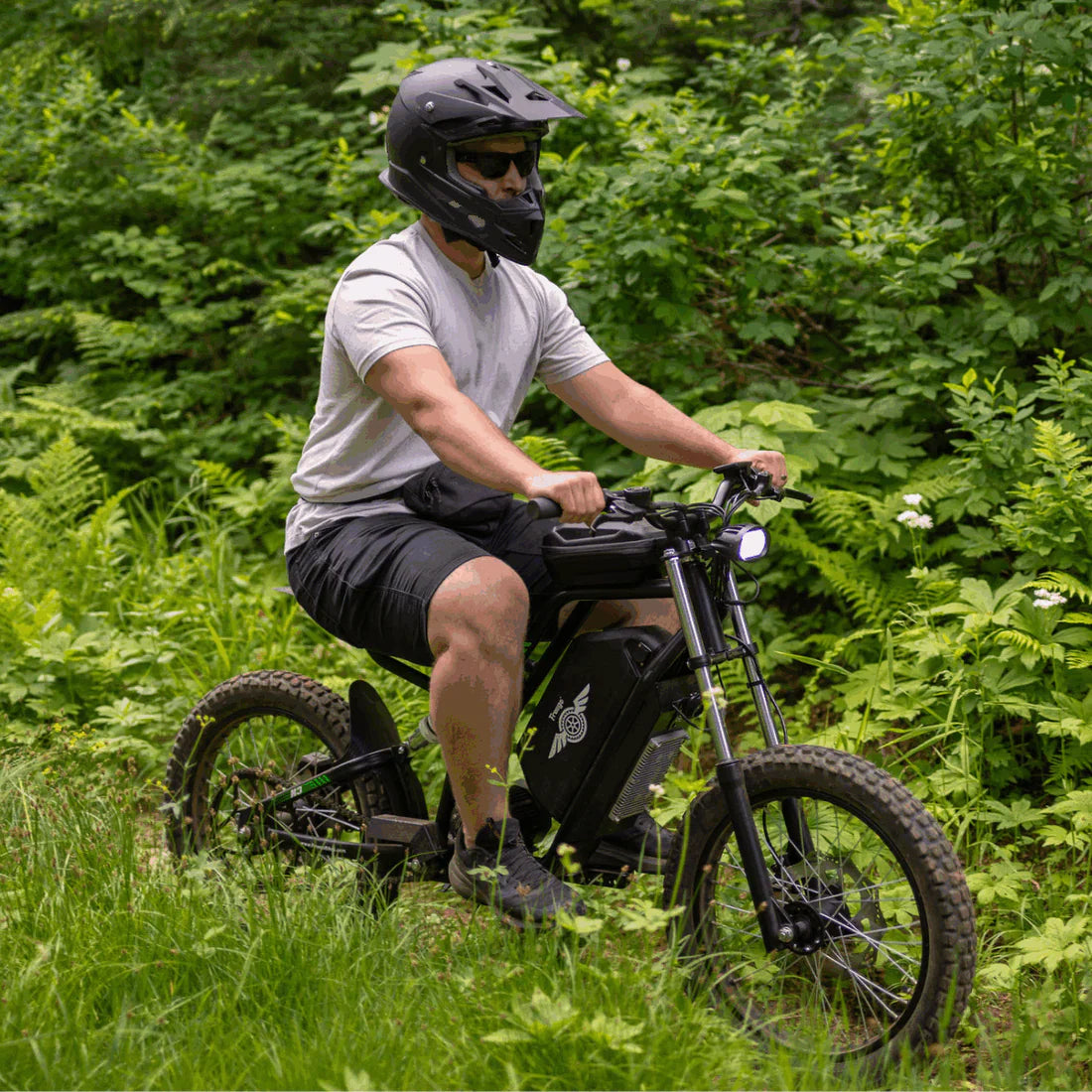 Freego Nova 3 60V/25Ah 3000W Electric Dirt Bike