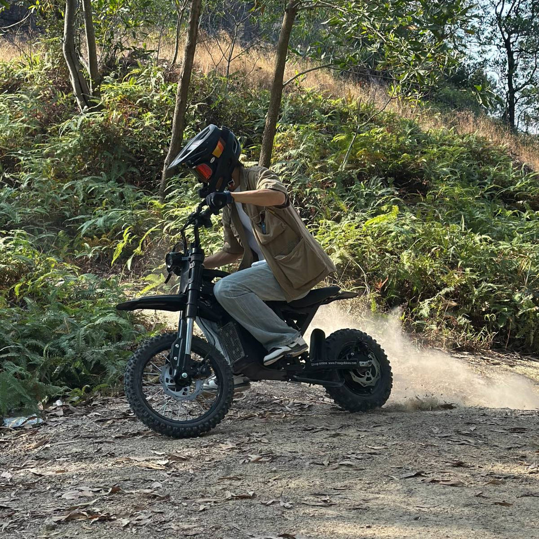 Freego X0 60V/23Ah 3600W Electric Mini Dirt Bike