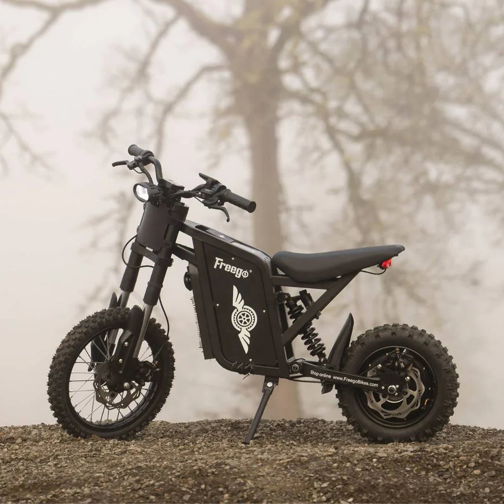 Freego X0 60V/23Ah 3600W Electric Mini Dirt Bike