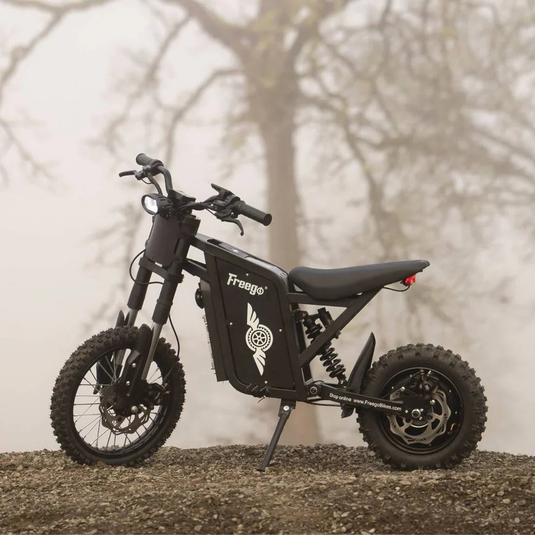 Freego X0 60V/23Ah 3600W Electric Mini Dirt Bike