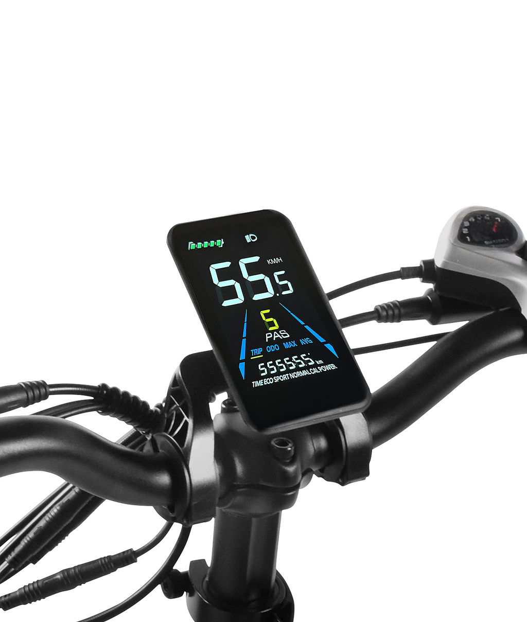 VICTRIP® TITAN S 1000W Long Range Ebike