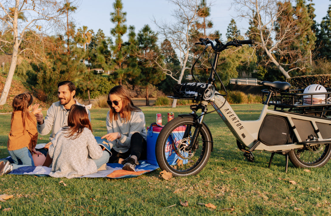 Abound Ebike