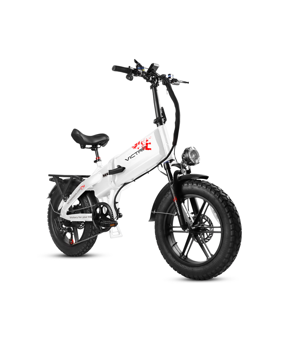VICTRIP® T6 Foldable City Electric Bike