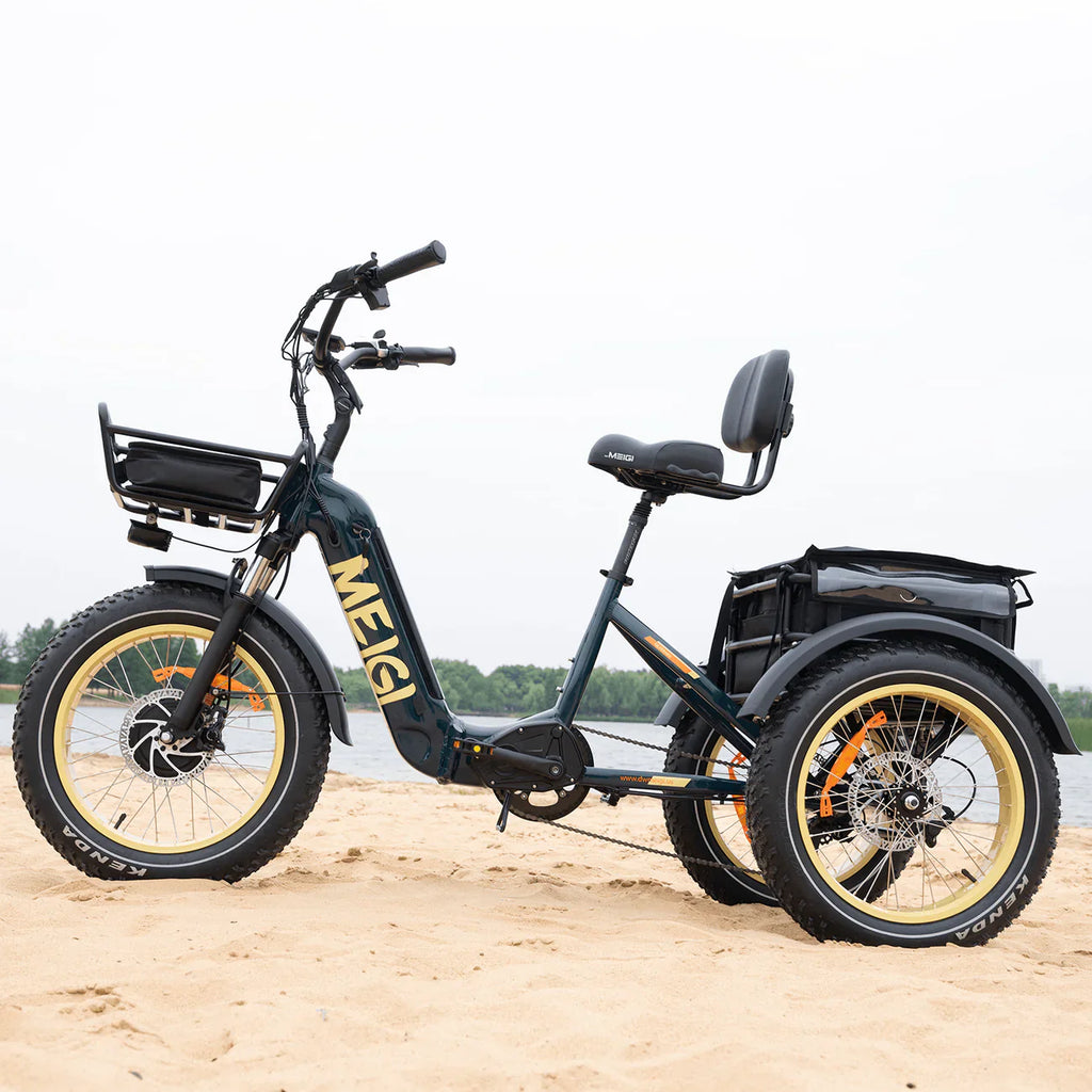DWMEIGI Silverado-HD MG2301 48V/14Ah 750W Folding Electric Trike