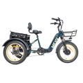 DWMEIGI Silverado-HD MG2301 48V/14Ah 750W Folding Electric Trike