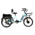 DWMEIGI Silverado MG2302 48V/13Ah 750W Electric Trike