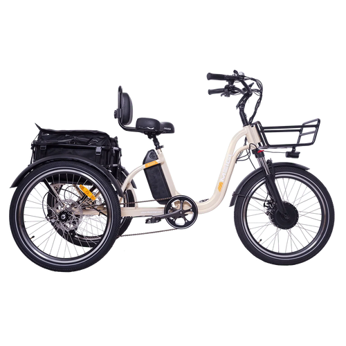 DWMEIGI Blazer MG2303 48V/16Ah 750W Electric Trike