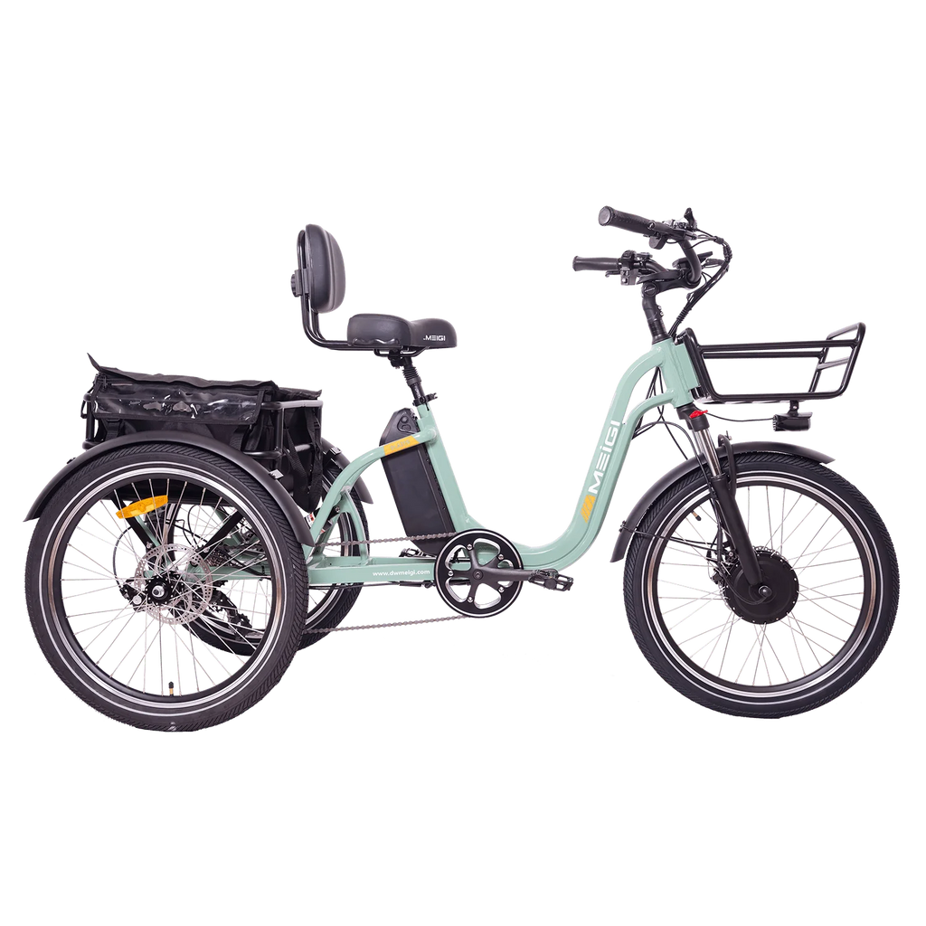DWMEIGI Blazer MG2303 48V/16Ah 750W Electric Trike