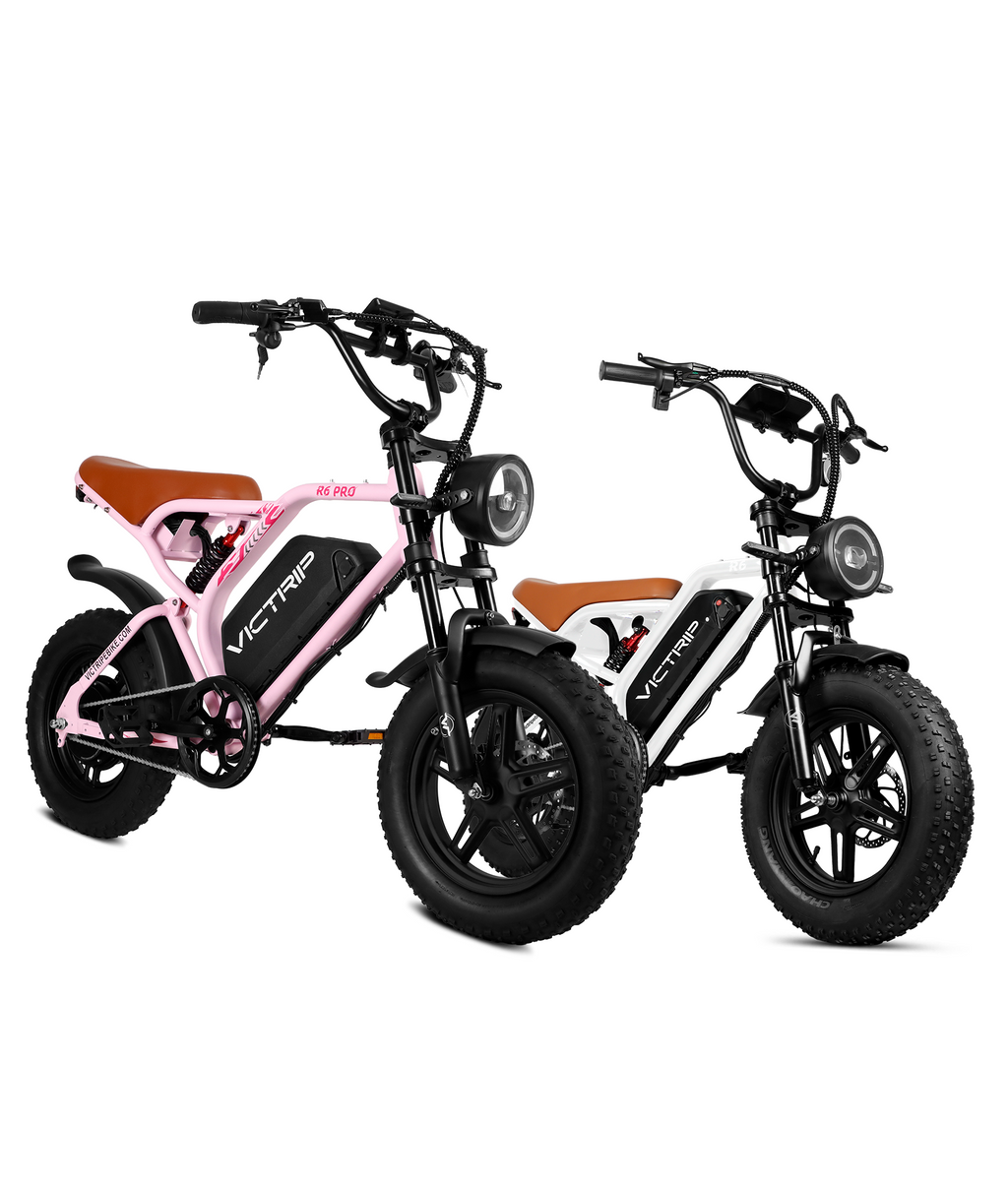 VICTRIP® Ebike Combo Pack (R6pro+R6)