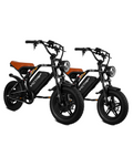 VICTRIP® R6 Pro Combo Pack (2 Bikes)