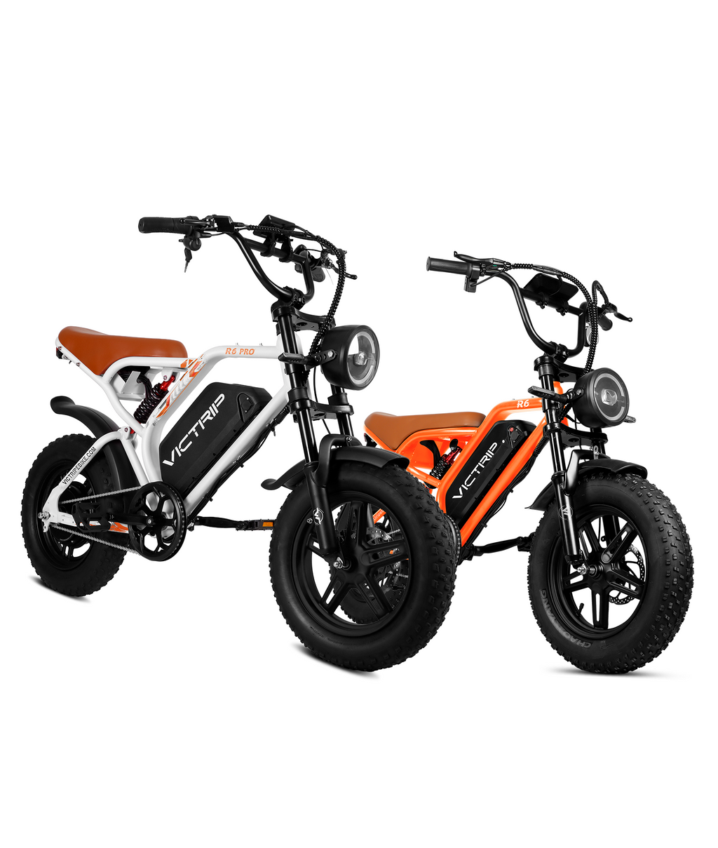 VICTRIP® Ebike Combo Pack (R6pro+R6)