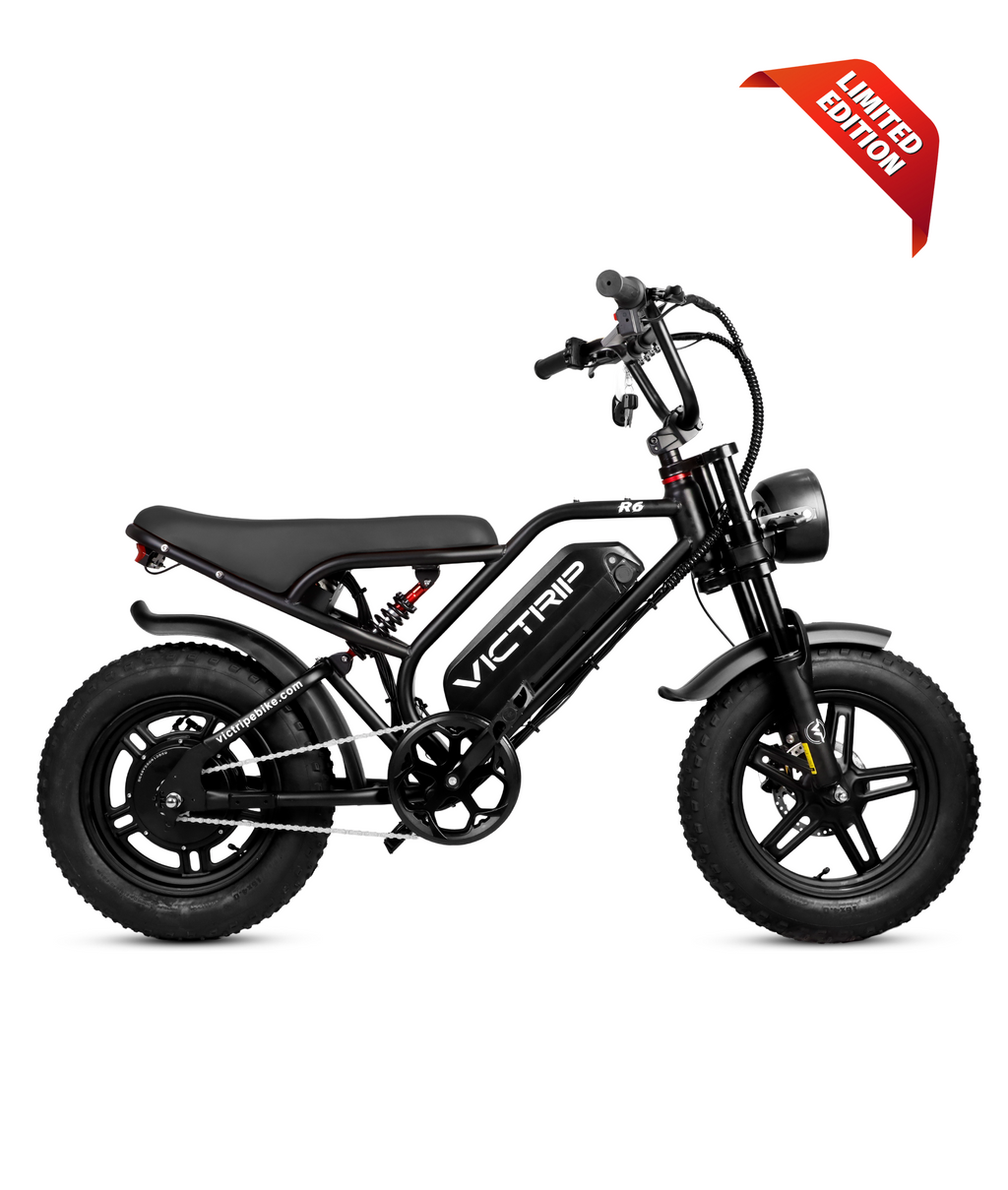VICTRIP ®R6 Off Road Electric Bike For Teens