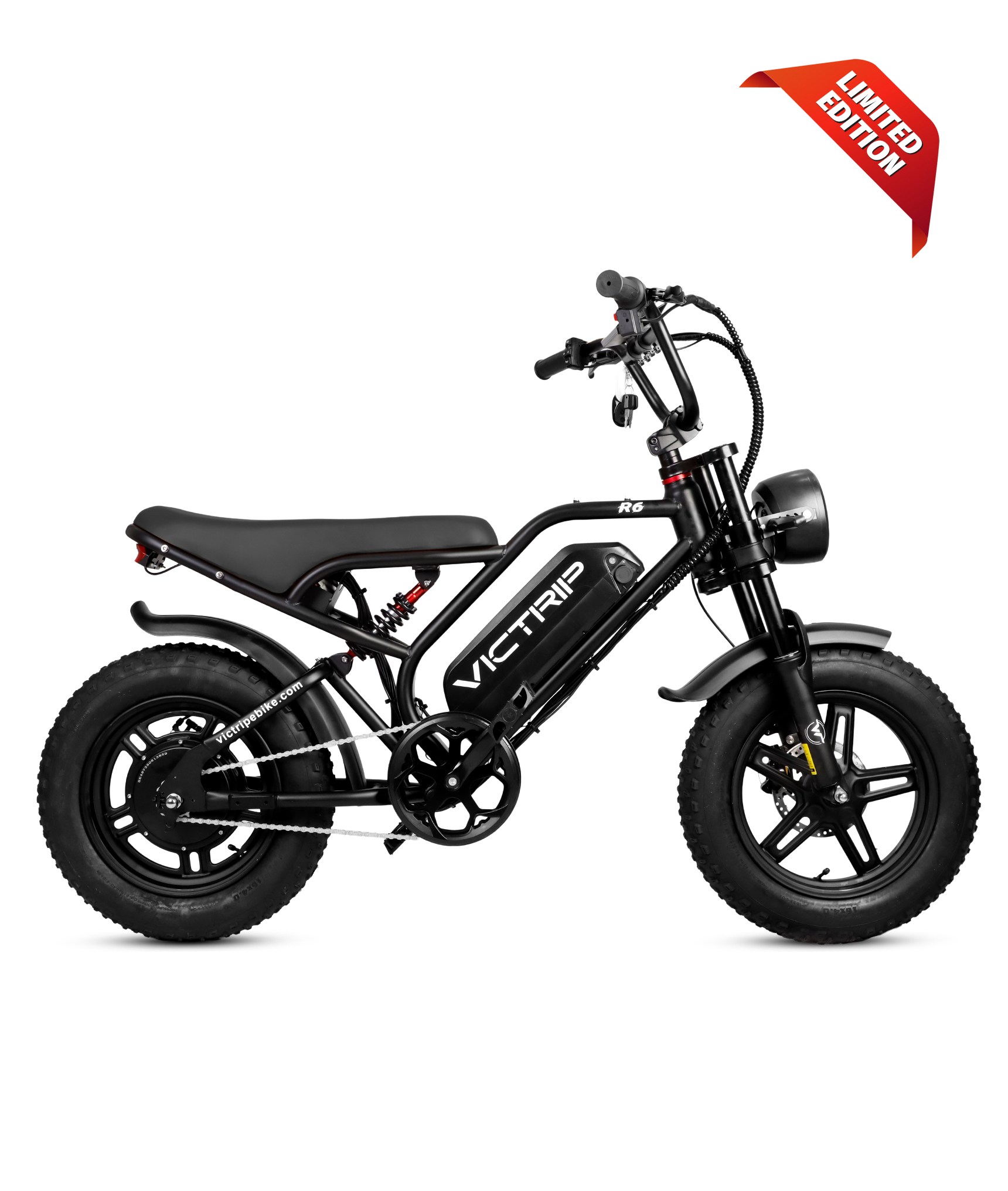 VICTRIP®R6 Off Road Ebike