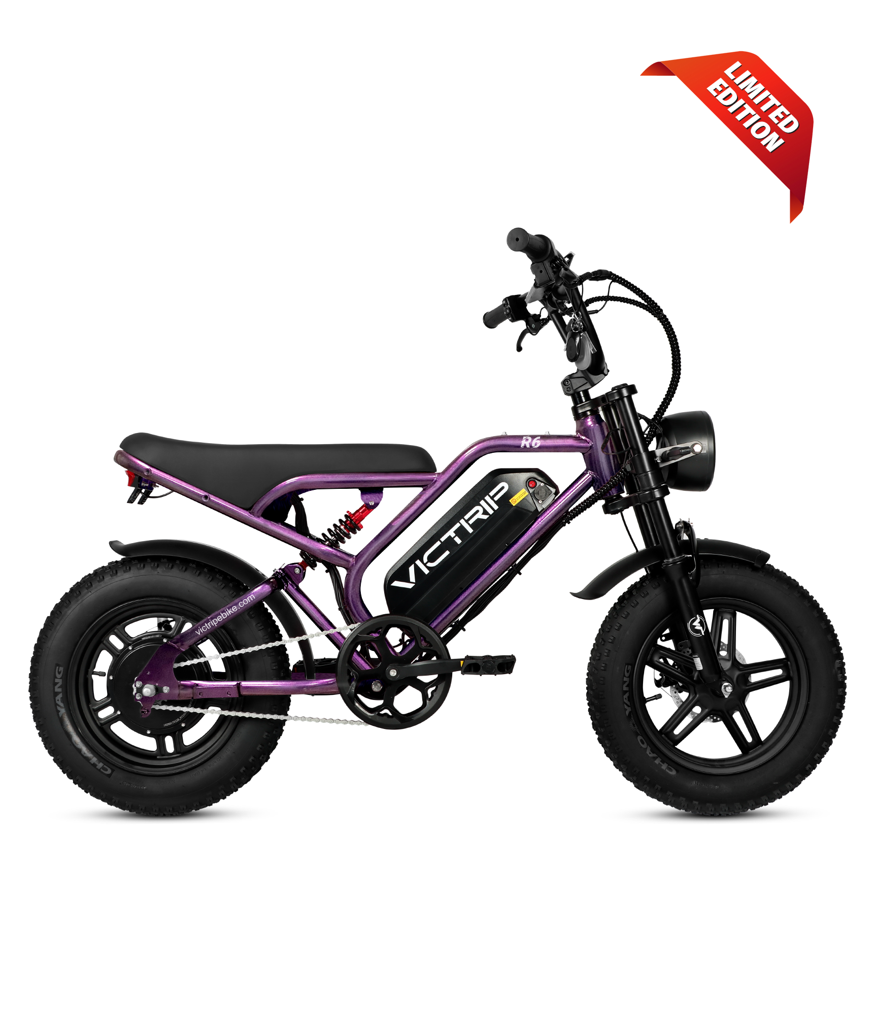 VICTRIP ®R6 Off Road Electric Bike For Teens