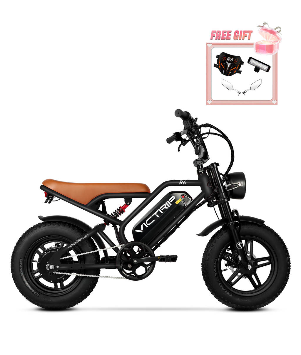 VICTRIP ®R6 Electric Off Road Bike