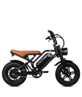 VICTRIP ®R6 Electric Off Road Bike