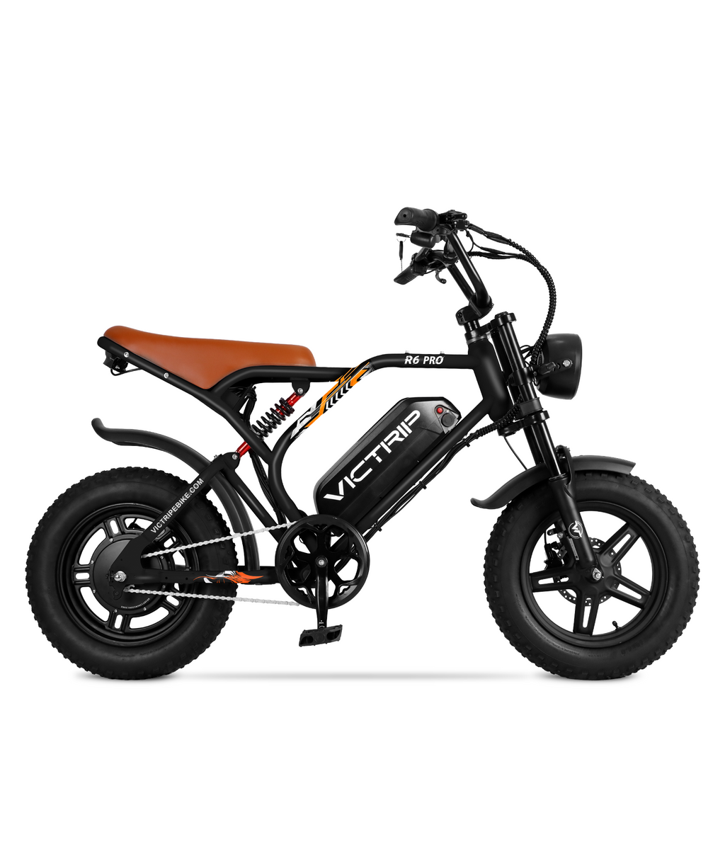 VICTRIP ®R6 Pro Off Road Electric Bike Moped