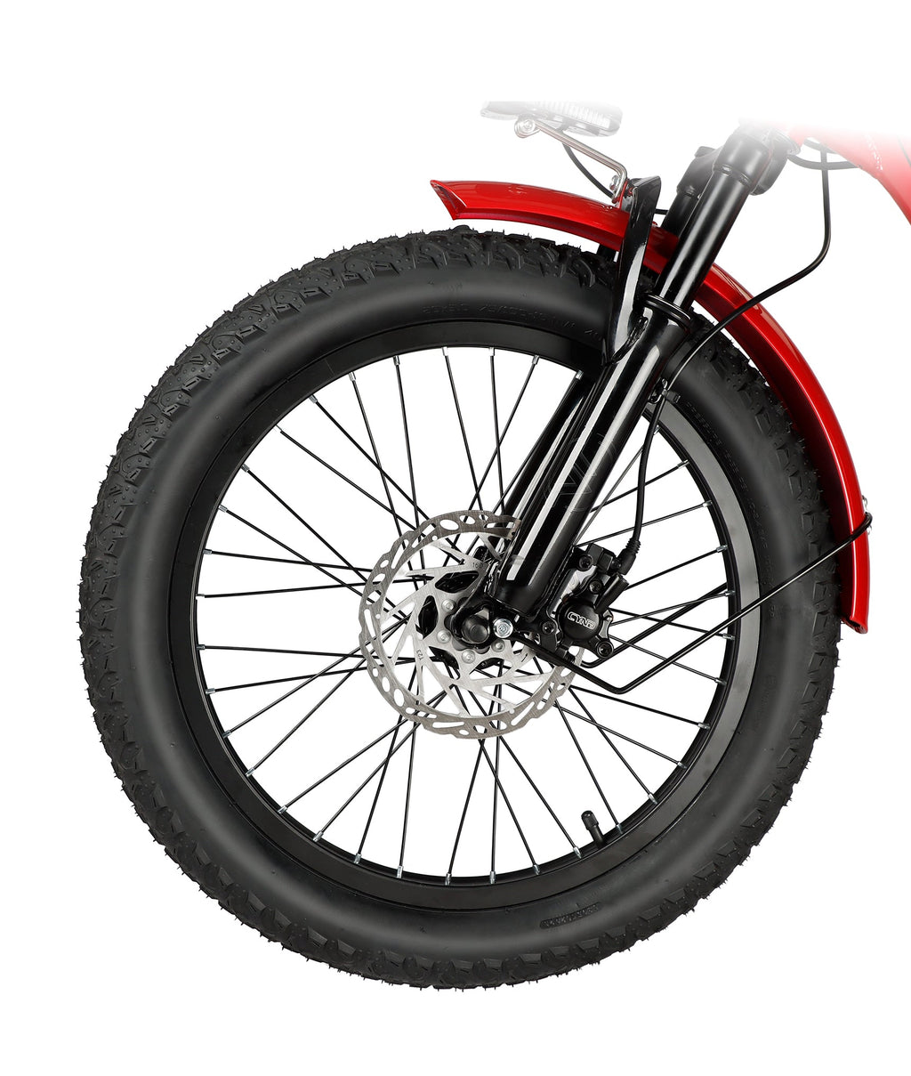 VICTRIP® T1 Folding Electric Trike